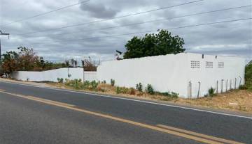 WhatsApp Image 2025-12-24 at 09.18.22.jpeg